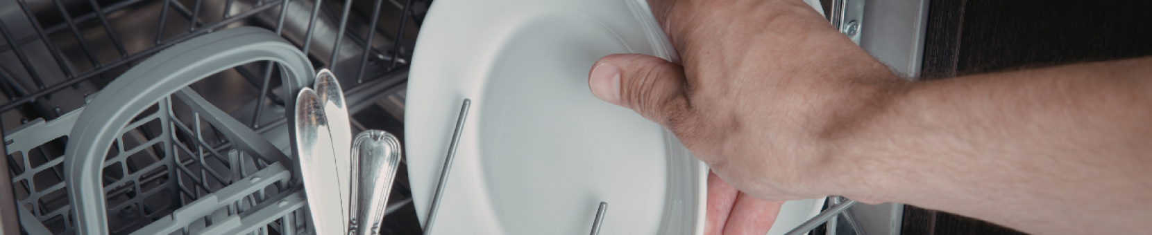 Dishwasher Needs Repair in Burlington